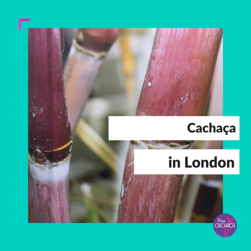 Cachaça Festival London bei Frau Cachaça