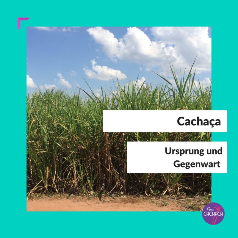 Ursprung und Gegenwart Cachaça