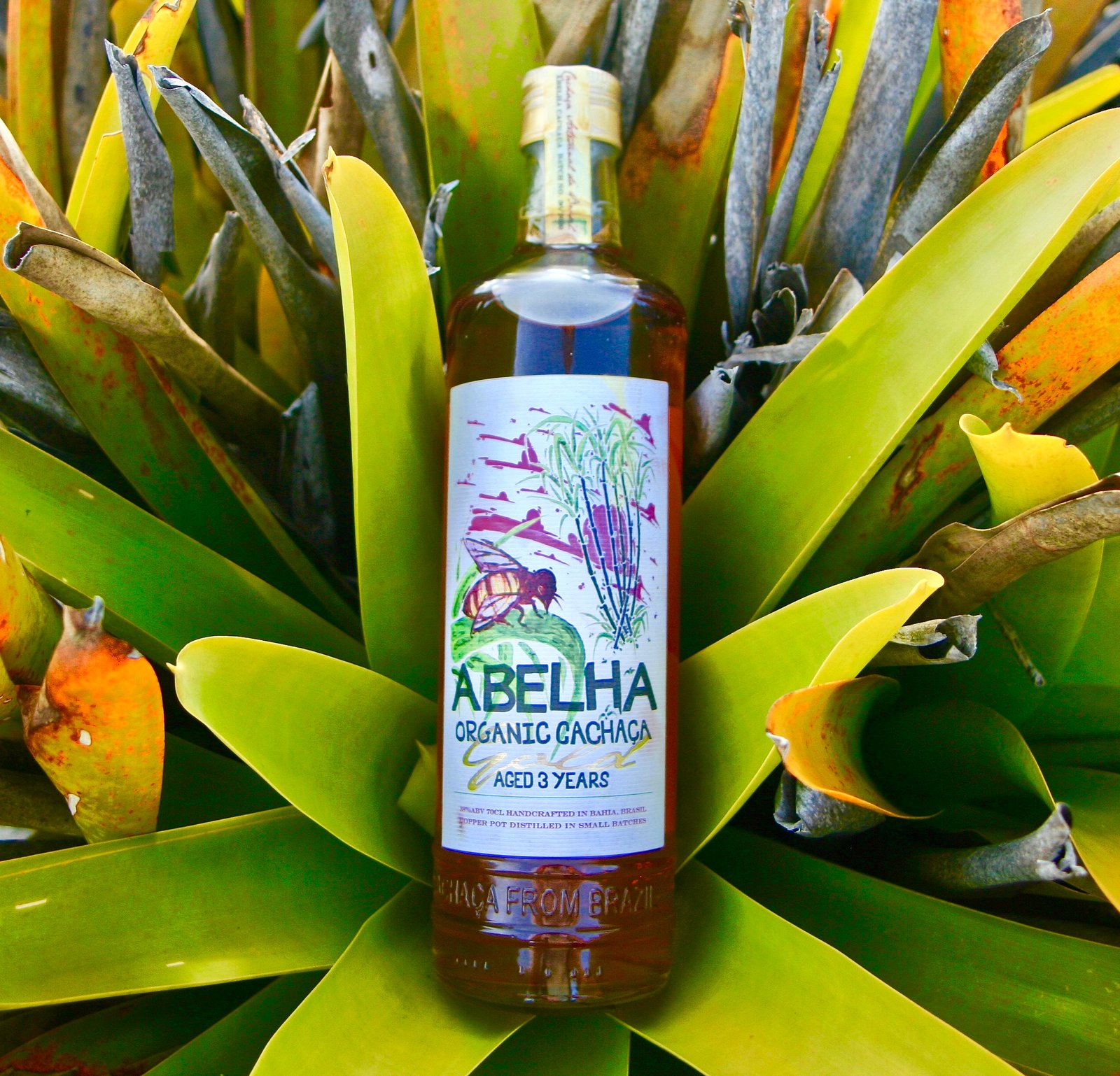 Cachaça Abelha Gold aus Bahia